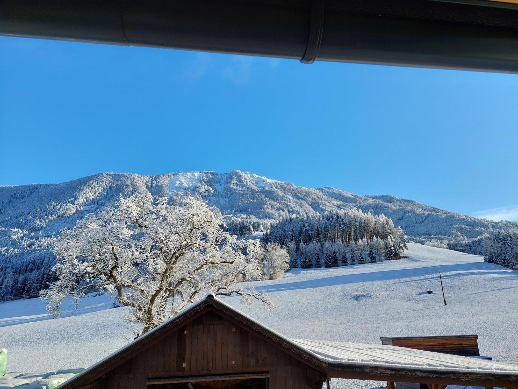 Hofpower'S Mountain Feeling Appartement Hinterstoder Buitenkant foto