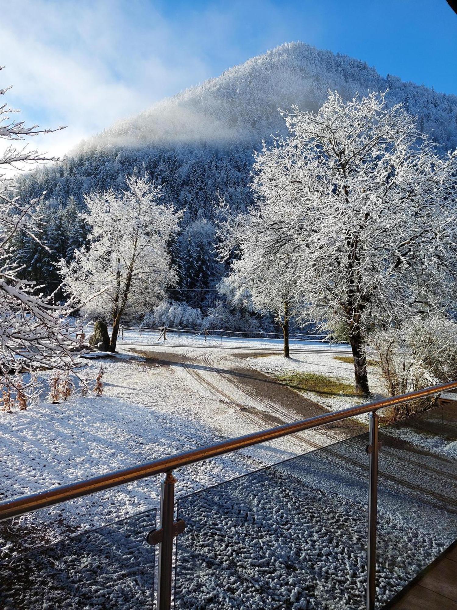 Hofpower'S Mountain Feeling Appartement Hinterstoder Buitenkant foto