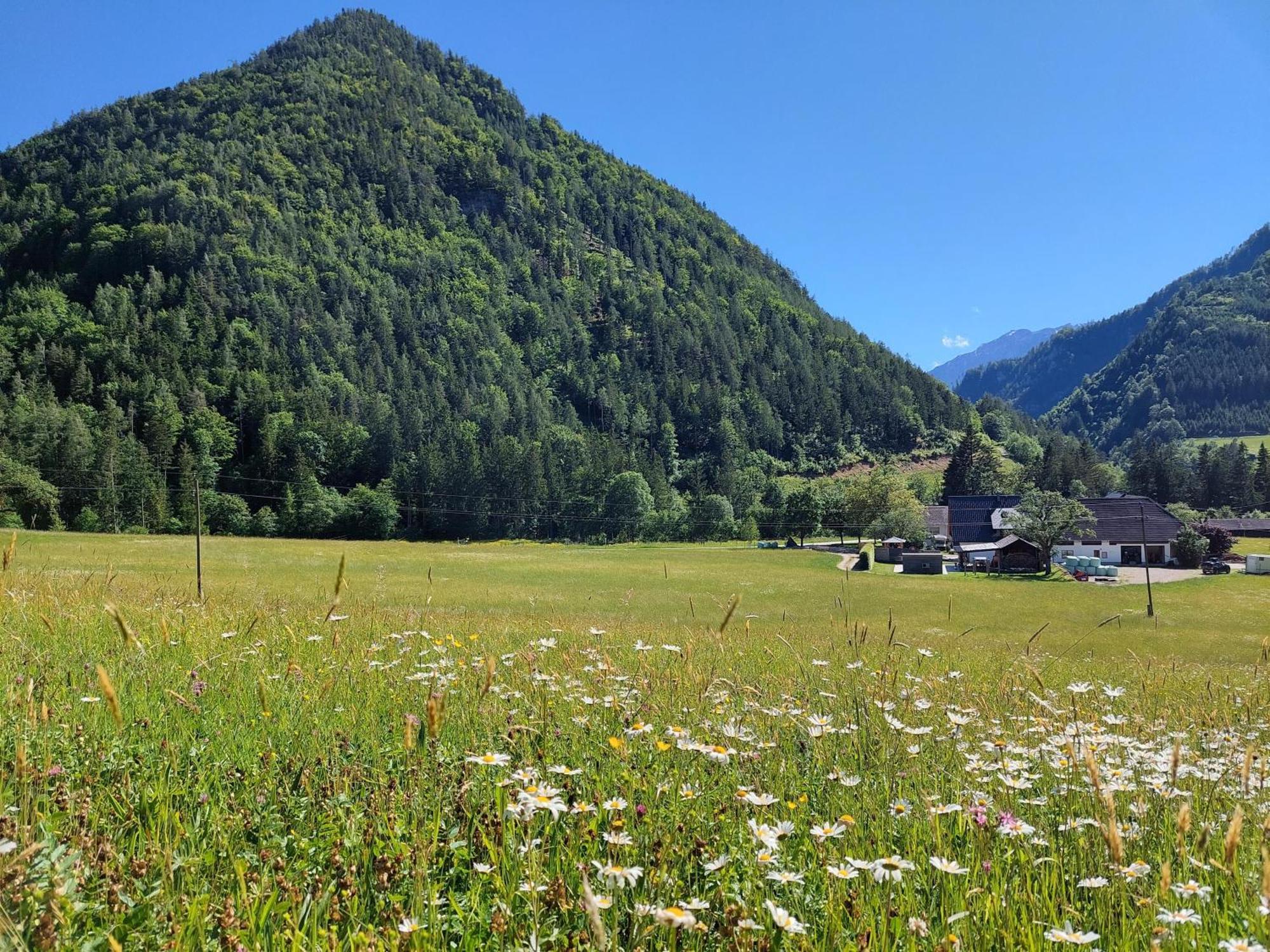 Hofpower'S Mountain Feeling Appartement Hinterstoder Buitenkant foto